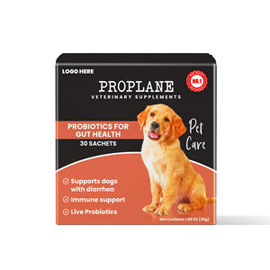 GMP & HACCAP Certified Probiotics <b>Supplements</b> for Dogs' Digestive <b>Health</b> Indian Manufacturer's Gut <b>Care</b> Treat for <b>Pets</b> - Product Image 5