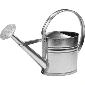 Arrosoir en métal galvanisé argenté de 10 litres pour la jardinage - Product Image 2