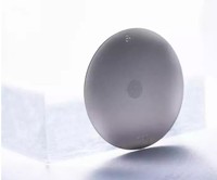 Meilleure vente ultrasonique piézoélectrique NiCo-Pd Mesh-2000-P (5um) TPC-5 modèle nébuliseur atomiseur Nebrainer longue durée de vie/faible