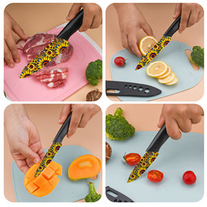 Juego de 4 Cuchillos de Chef Profesionales de Cerámica con Mango de Plástico, Fabricación en Fábrica, Entrega Rápida, Agente de Dropshipping para Shopify - Product Image 6