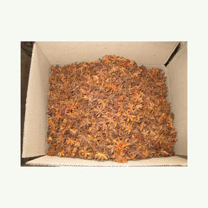 Anis étoilé-Matière première-Anis Viet Nam-De Lang Son Épices chaudes-Herbes Et Épicé - Product Image 3