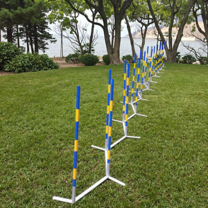 Equipo de Entrenamiento de Agilidad para Perros, 12 Postes Plegables de Acero con Base de Plástico, Impermeable IP67, Postes de Slalom para Perros - Product Image 3