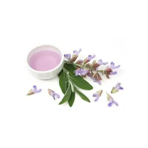 Hot Offers Clary Sage Essential Oil with Pure Naturally Made Oil For Multi Purpose Uses By Indian Exporters