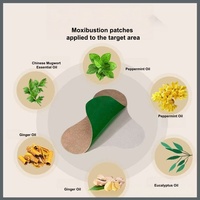 Patchs Chauffants Apaisants aux Herbes pour un Soulagement Rapide des Douleurs Articulaires et Musculaires – Patchs en Gel d'Eau Fins et Invisibles