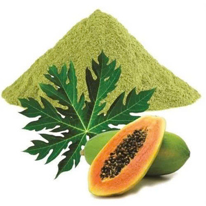 <b>PREMIUM</b> ORGANIC PAPAYA LEAVES POWDER <b>WHOLESALE</b> SUPPLY BULK HOT DEAL EXPORT READY TOP SALES NATURAL INGREDIENT - Product Image 1