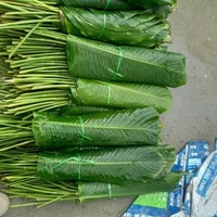 AUTHENTIQUES FEUILLES DE DONG CONGELÉES DU VIETNAM-IDÉAL POUR LA PRÉPARATION DES ALIMENTS TRADITIONNELS-EMBALLAGE DE GÂTEAU TRADITIONNEL