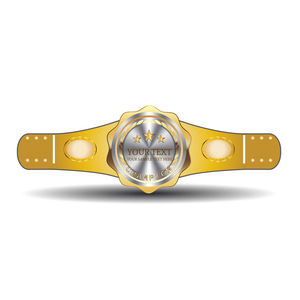 Ceintures de championnat sportif personnalisées, ceinture en alliage personnalisée, lutte, football, baseball, basketball, récompenses - Product Image 4