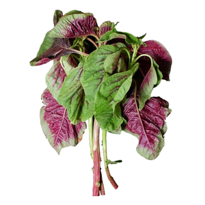 Les feuilles d'amarante congelées de qualité supérieure/Feuilles d'amarante hachées du Vietnam - Product Image 6