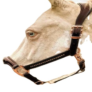 Classy Premium Custom Design Havana Leather Padded Horse <b>Halter</b> with Patent Noseband and Luxury Rose Gold Adjustable Fittings - Product Image 2