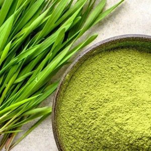 Erba di grano di alta qualità in polvere integratori a base di erbe erba di grano naturale in polvere