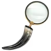 Loupe à main en laiton avec poignée en corne de buffle Kits d'outils promotionnels Outil indispensable