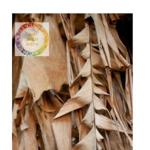 Approvisionnement en gros de feuilles de bananier séchées de haute qualité du Vietnam idéal pour l'emballage alimentaire et l'utilisation d'emballage écologique - Product Image 3