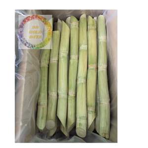 อ้อยแช่แข็งเพื่อส่งออกผลิตภัณฑ์จากธรรมชาติฉ่ำและ100เปอร์เซ็นต์จากฟาร์มเวียดนาม - Product Image 2