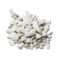 Graines de baobab 100% Pure Premium, huile de baobab, poudre de baobab et fruit de baobab provenant de ressources directes