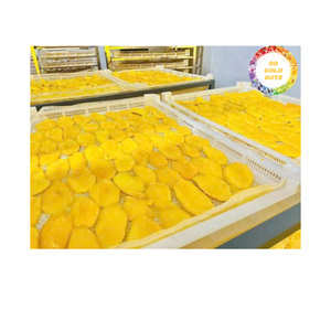 Mango seco de alta calidad Material de mango de Vietnam para la industria alimentaria Confitería Panadería y comercio mayorista internacional - Product Image 5
