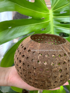 Cáscaras ligeras de té de cáscara de coco/velas ligeras de té perfumadas con Lima de coco ecológicas y de alta calidad de Eco2go Vietnam - Product Image 6