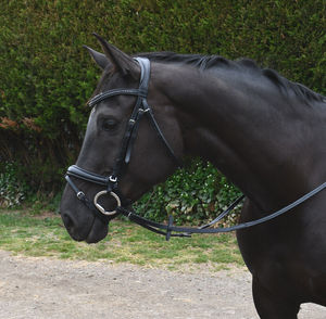 Rhinegold Italia Luxe Anatomique Flash Cheval Bride PLEINE TAILLE Noir Diamante Vente en gros Nouveau Haute Qualité Cheval Snaffle - Product Image 4
