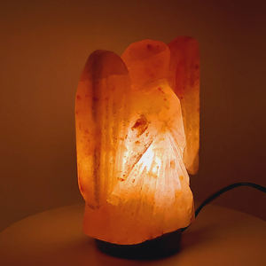 2024 meilleure lampe de sel de cristal de sel de l'Himalaya pur de conception avec base en bois et lampe de sel de l'Himalaya à faible quantité minimale de commande - Product Image 5