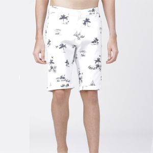 Pantalones Cortos Deportivos Casuales de Alta Calidad Personalizados 2024, Pantalones Cortos Deportivos de Color Sólido para Hombre, Pantalones Cortos Deportivos de Algodón para Correr y Gimnasio para Hombre y Niño - Product Image 1