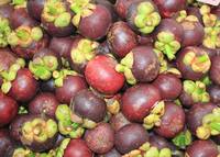Mangoustan frais du Vietnam, de haute qualité, sucré et juteux, exportation en vrac