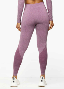 Leggings Deportivos de Mujer, Sin Costuras, de Poliéster Cepillado, Sublimados, Personalizados, para Invierno 2024, Cálidos, para Yoga, Fitness y Deporte - Product Image 2