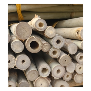 Natural <b>Bamboo</b> Poles - <b>Bamboo</b> <b>Cane</b> Material - Dry <b>Bamboo</b> Stakes for Export - Product Image 4