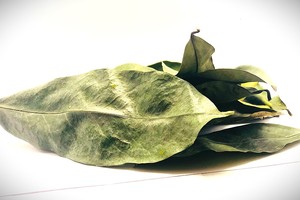 Guanábana deshidratada de Sri Lanka, hojas cortadas en T, hierba seca para productos médicos para bodas - Product Image 4