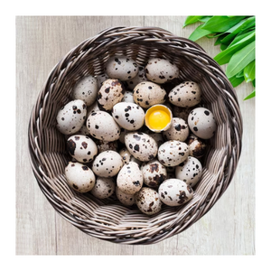 ไข่นกกระทาบรรจุในน้ำบรรจุกระป๋องโภชนาการที่เข้มข้นสีขาว - Product Image 2