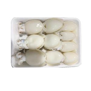 Seiches entières nettoyées surgelées Fruits de mer premium pour délices culinaires - Product Image 2