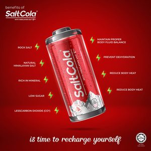 Refresco Carbonatado HALAL Bajo en Carbohidratos con Sabor a Caramelo Salado Marrón y Sal del Himalaya, 0.32L, Envase en Lata, Listo para Enviar, Hecho en Malasia, Frío - Product Image 4