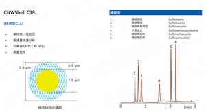 Coluna <span class=keywords><strong>HPLC</strong></span> Shell Matrix Sílica 2.6um para análise UPLC/UHPC - Product Image 2