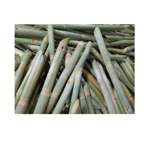 Disfrute del sabor de Vietnam: palitos de caña de azúcar congelados a precios inmejorables - Product Image 1