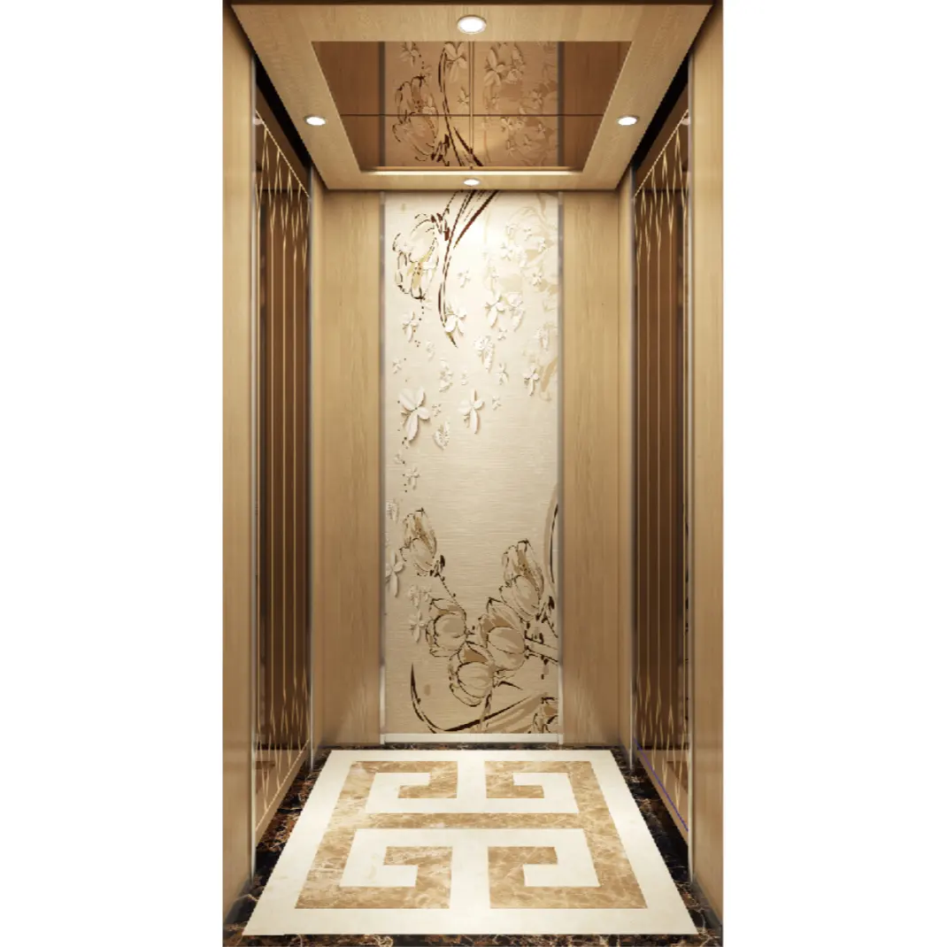 3/4/5 Floor Residential Lifts Luxury Passenger Elevator 450kg/630kg for House Hotel Affordable Price