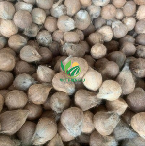 Precio barato de alta calidad COCO SEMI CUSKED de VIET THIEN PHU - VIET NAM Good Healthy El mejor precio en 2025 - Product Image 5