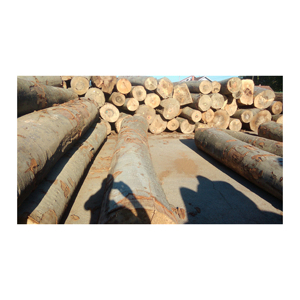 Bois de chauffage de bois dur sec en vrac de 30kg à vendre comprenant des grumes de chêne frêne et de hêtre - Product Image 1