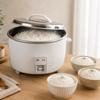 Vente flash - Cuiseur à riz électrique en acier inoxydable grande capacité avec fonction de maintien au chaud pour restaurant, hôtel, buffet, salle à manger