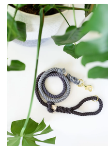 Accessoire pour chien Cadeau d'amant de chien - Product Image 3