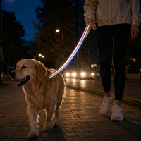 Sangle tubulaire en nylon réfléchissante double face de couleur unie, sangle tissée creuse avec fil réfléchissant pour laisse d'animal, collier, sac à dos, extérieur