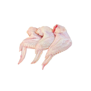 100% Meilleure qualité en vente Turquie PREMIER ET DEUXIÈME AILE DE SEGMENT - Product Image 5