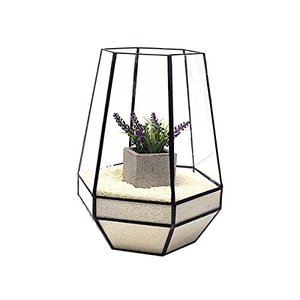 Décoration intérieure Conteneur de fleurs ou de plantes Terrarium en verre et métal Décor de balcon Forme irrégulière Dessus de table Terrarium en verre - Product Image 5