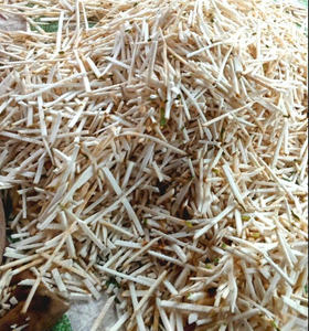 Approvisionnement stable garanti en corossol séché, prêt à répondre aux grosses commandes - Product Image 3