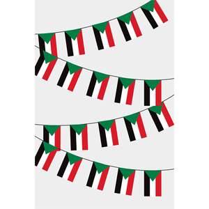 Party <b>Banners</b> Rectangular Sudan Flags Garland - Product Image 1