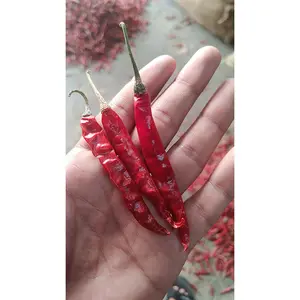 Indian Spices and Herbs Byadgi Chilli Best Selling Extra Spicy Super Hot Dried Red Chilli Whole from India