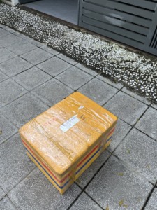 Concha de Caracol de trompeta decorativa pulida de Vietnam Charonia Tritonis para artesanía de exhibición costera y diseño de interiores del hogar - Product Image 2