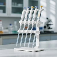 Support de pipettes de laboratoire personnalisé au meilleur prix pour micropipettes multimarques Support anti-basculement ABS OEM