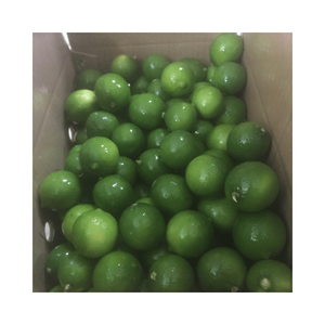 Limón de exportación buen precio Lima fresca natural-Lima verde fresca sin semillas y limón de Vietnam para exportación de alta calidad de 99GD - Product Image 2