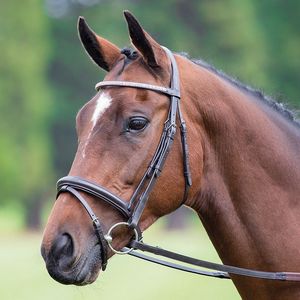 เพชรบังเหียนหนังม้าคุณภาพระดับไดอะแมนเต้สายบังเหียนแบบแฟลชพร้อมนูนหนังแท้หลากสี - Product Image 3