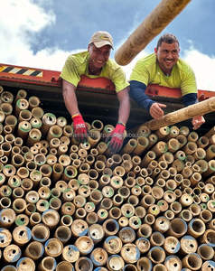 Exportateur de poteaux de bambou Vifarmex | Fabricant d'usine vietnamien pour la vente en gros de matériaux en bambou - Product Image 3