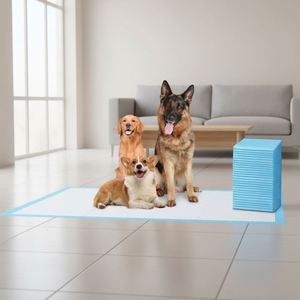 2025 Haute Qualité Jetables Écologiques 100% Coussinets d'Entraînement pour Chiots et Chiens pour l'Hygiène - Product Image 1