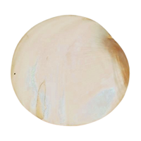Plateau décoratif nautique côtier en demi-coquille de palourde naturelle de qualité supérieure, 5x5 pouces, en nacre, le plus vendu